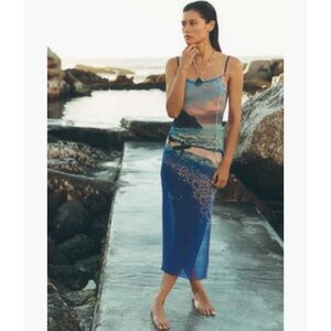 Celandine Printed Mesh Midi Dress Surfs Up Scene Print Small $88 Anthropologie